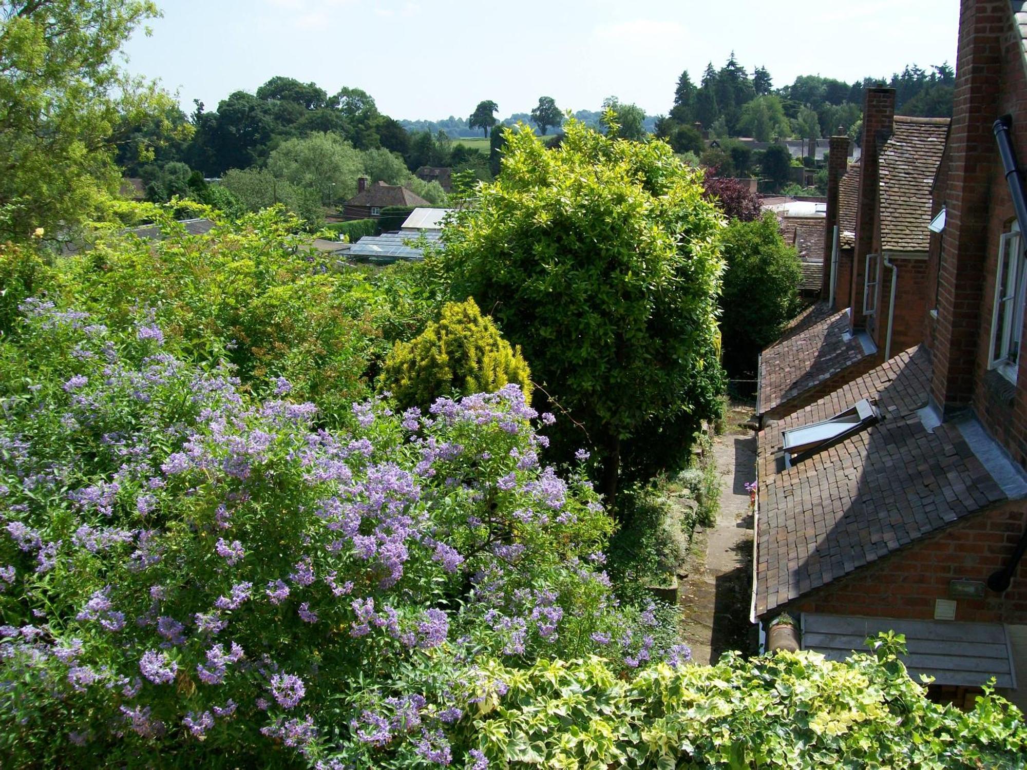 Frog Cottage, Ludlow - A Charming Townhouse For 4 Luaran gambar